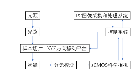 QQ20250217-170254.png